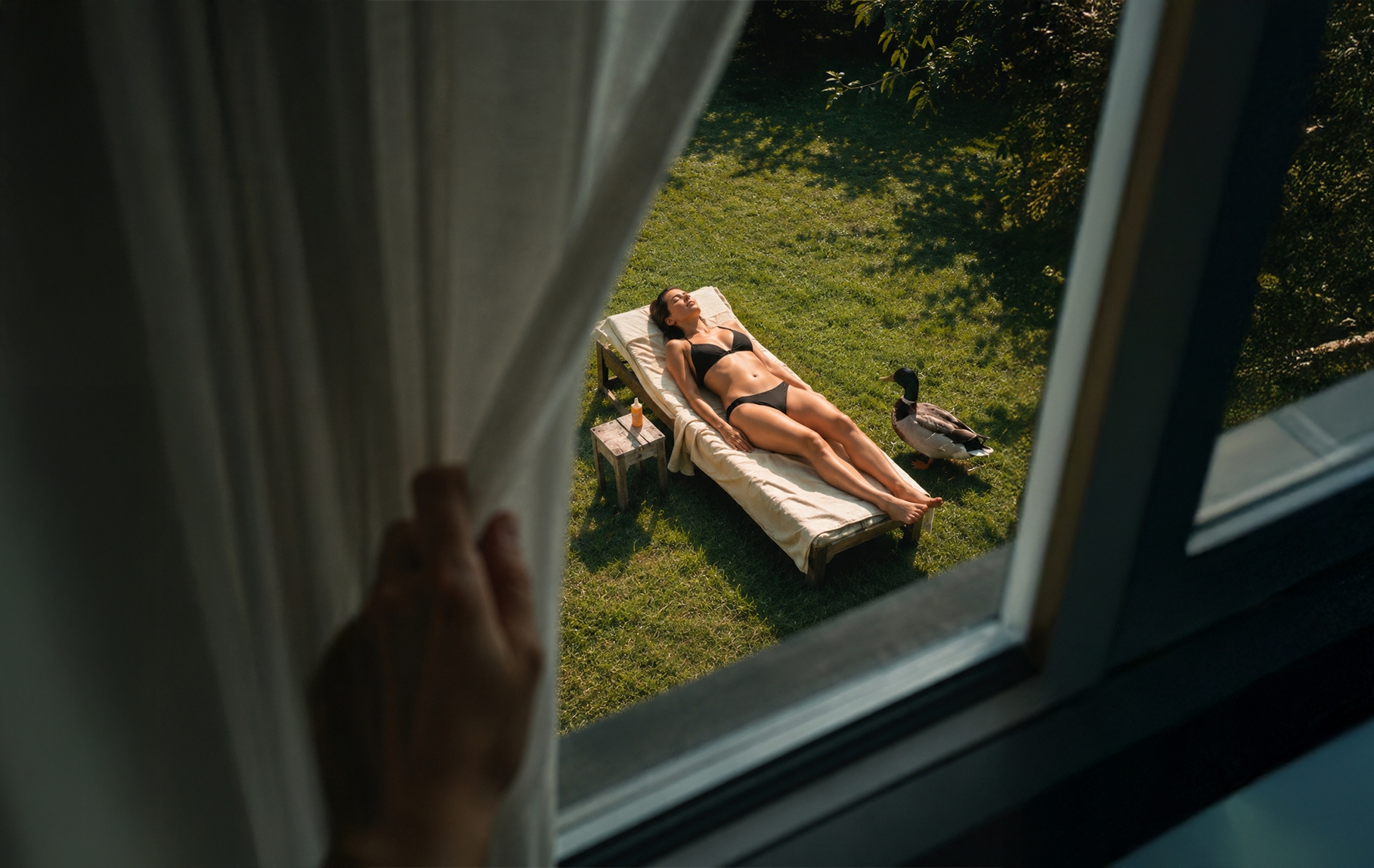 Papera al sole